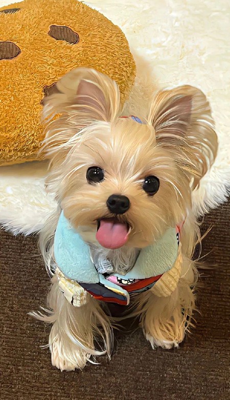 壁纸干净全网都超爱很治愈 爆气质且流行的壁纸合集