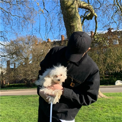 2024很有质感的酷酷男头 全网超酷的男头魅力爆棚