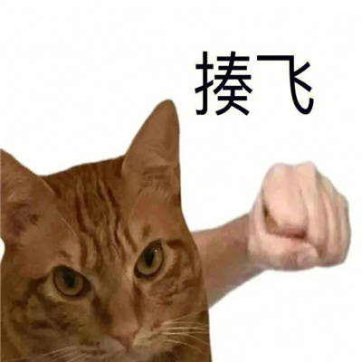 聊天能多很多开心的表情大全 幽默风趣的小众表情