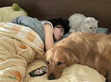 很拽潇奈陌钢伦约 很a很高冷有个性的语录