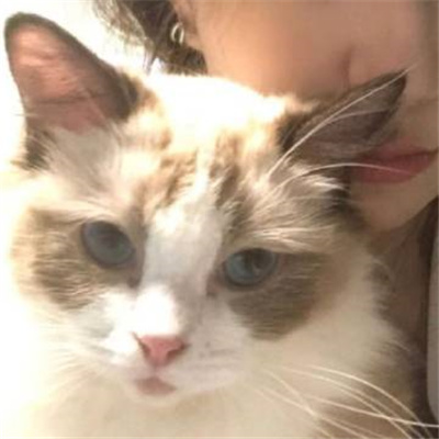 超喜欢的情头可可爱爱幸福 可爱且明显的情头大全