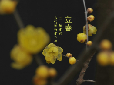 2024立春节气朋友圈短句 立春节气治愈短句 2024立春节气朋友圈短句 立春节气治愈短句