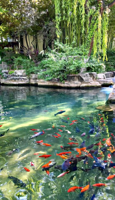 2024春季壁纸很阳光明媚又养眼 春天来的时候立个约定