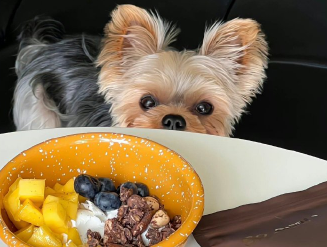 杂七杂八的互联网高级感文案 读起来很有内涵的文案 杂七杂八的互联网高级感文案 读起来很有内涵的文案