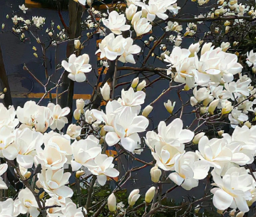 让女生瞬间上头的暖心话术 男生瞬间抓住女生心的文案 让女生瞬间上头的暖心话术 男生瞬间抓住女生心的文案