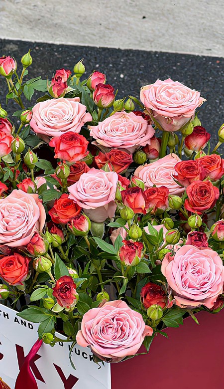 颜值很出众的壁纸全屏 2024最新版花式好看壁纸合集