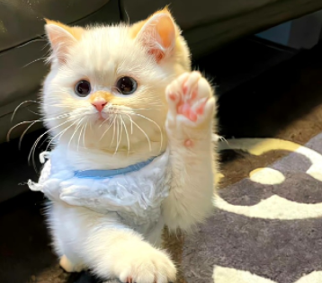 关于人生追求的文案短句 追求快乐的好听短句 关于人生追求的文案短句 追求快乐的好听短句