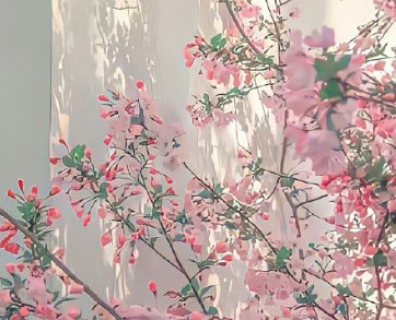 2024期待春季到来的心情说说 迎接春天到来的唯美句子 2024期待春季到来的心情说说 迎接春天到来的唯美句子