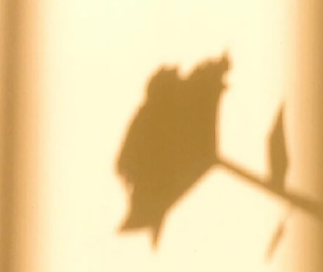 永远叫不醒一个装睡的人经典语录 伤感语录大全致自己 永远叫不醒一个装睡的人经典语录 伤感语录大全致自己