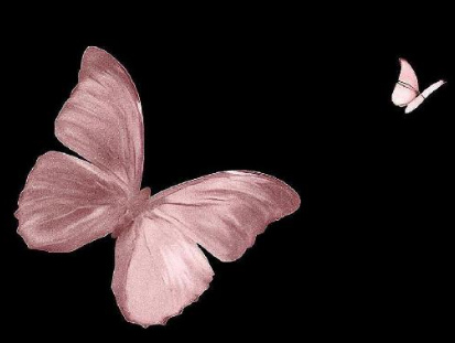 2024生活签名一眼惊艳 款款高级的超棒签名 2024生活签名一眼惊艳 款款高级的超棒签名