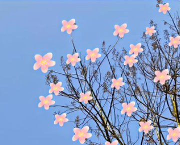 简单又独特的个性签名 适合长期不换的签名