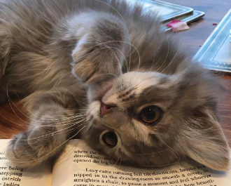 冬天吃雪糕的心情说说 大冬天吃雪糕发朋友圈文案 冬天吃雪糕的心情说说 大冬天吃雪糕发朋友圈文案