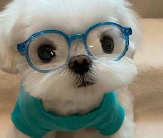 2024零零碎碎的情绪签名 简短且好听的签名