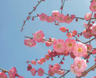 被顾客骂了心里不舒服的句子 和顾客吵架心里委屈的说说 被顾客骂了心里不舒服的句子 和顾客吵架心里委屈的说说