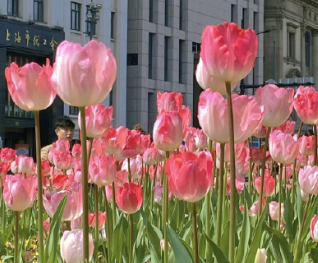 被顾客骂了心里不舒服的句子 和顾客吵架心里委屈的说说 被顾客骂了心里不舒服的句子 和顾客吵架心里委屈的说说