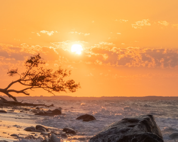 失恋后的伤感说说文案 失恋后刺骨的短句 失恋后的伤感说说文案 失恋后刺骨的短句