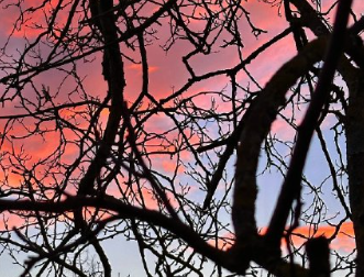 在慢慢变好的治愈文案短句 简短为自己开心的语录 在慢慢变好的治愈文案短句 简短为自己开心的语录