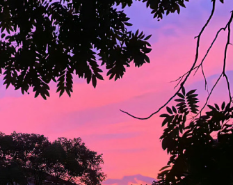 在慢慢变好的治愈文案短句 简短为自己开心的语录 在慢慢变好的治愈文案短句 简短为自己开心的语录