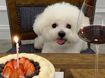 零零碎碎的又很美好的签名 打动人心又很个性的签名 零零碎碎的又很美好的签名 打动人心又很个性的签名