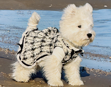 下雨天发朋友圈的优美短句 分享朋友圈下雨天心情短句 下雨天发朋友圈的优美短句 分享朋友圈下雨天心情短句