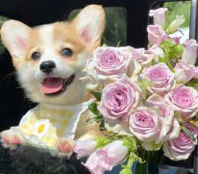 短小精辟的个性签名 简短系列的好听签名 短小精辟的个性签名 简短系列的好听签名