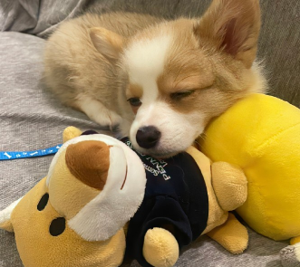 落入凡间的温柔签名短句 很吸引人的干净签名