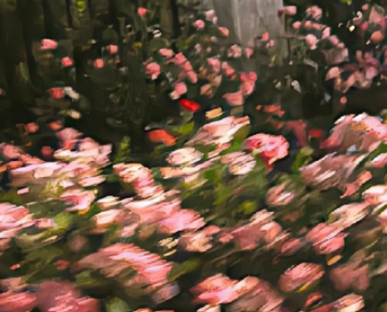 面对感情我认输的说说 这一次我输了感情说说 面对感情我认输的说说 这一次我输了感情说说