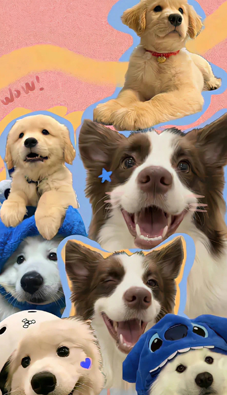 2024超喜欢的爆美治愈壁纸 新版用很久的宝藏皮肤