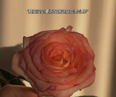 道歉挽回最感动的话走心 做错了道歉挽回的话大全 道歉挽回最感动的话走心 做错了道歉挽回的话大全