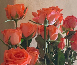 很有魅力的签名稳重2024最热门 很吸睛又气质的签名 很有魅力的签名稳重2024最热门 很吸睛又气质的签名