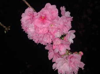 感觉自己的人生糟透了的说说 人生没有盼头的短句 感觉自己的人生糟透了的说说 人生没有盼头的短句