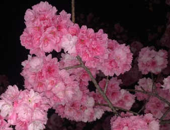 感觉自己的人生糟透了的说说 人生没有盼头的短句 感觉自己的人生糟透了的说说 人生没有盼头的短句