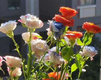 好听的签名元气满满最新 气质干净的女孩子签名