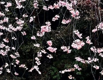 大龄剩女的说说心情短语 大龄剩女的说说朋友圈