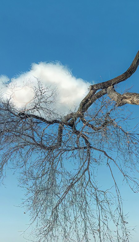 很潮会收获好心情的壁纸 张张绝色的壁纸新版合集