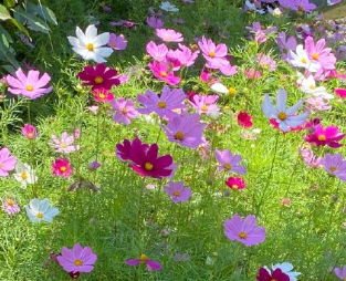 非常有力量的经典句子 简短且唯美的语录