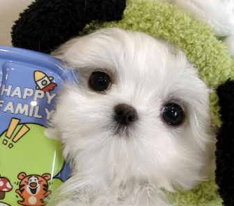 好运又简约的签名轻松 新版出众的签名大全 好运又简约的签名轻松 新版出众的签名大全