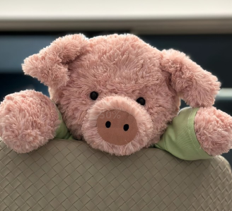 安慰人的鸡汤语录大全 会让失望的人感觉到温暖的句子 安慰人的鸡汤语录大全 会让失望的人感觉到温暖的句子