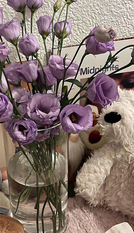 2024能给自己带来好心情的壁纸 好看的壁纸永远不嫌多呀