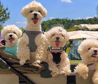 跟爱的人一起过周末的幸福的短句 周末晒幸福的说说