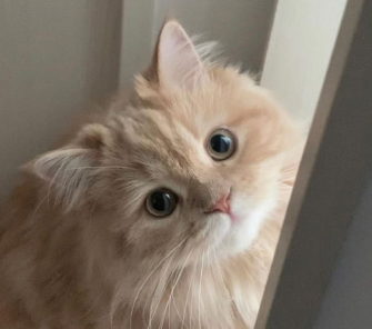 2024温柔小众的签名简短 走心又干净的签名 2024温柔小众的签名简短 走心又干净的签名