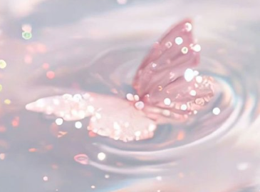 羡慕别人发财的搞笑文案 羡慕别人发朋友圈的搞笑说说