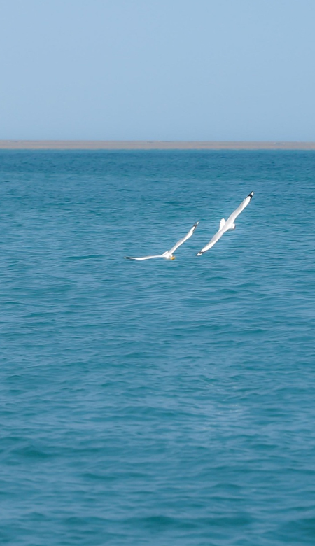 好看到炸裂的壁纸2024出众 一起换好看的壁纸吧
