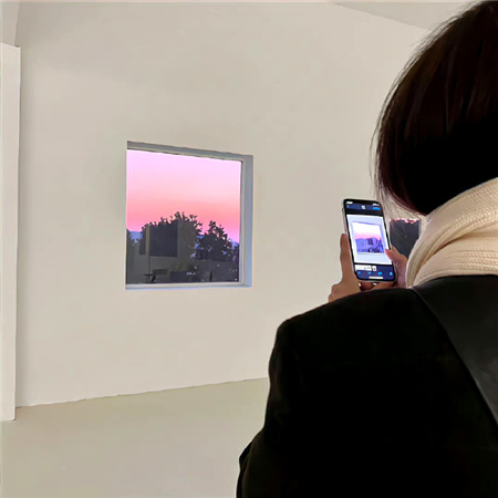 2024养眼粉色系的ins配图高清 心里有选择的话坚定就好