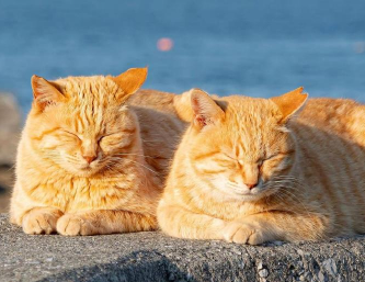 十分清醒的签名很通透 能让你明白很多的签名 十分清醒的签名很通透 能让你明白很多的签名