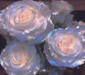 给那个不能在一起的写的短句 写给无法在一起的人伤感句子 给那个不能在一起的写的短句 写给无法在一起的人伤感句子