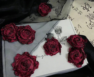 被渣女欺骗感情的说说 被渣女伤的很深的文案 被渣女欺骗感情的说说 被渣女伤的很深的文案