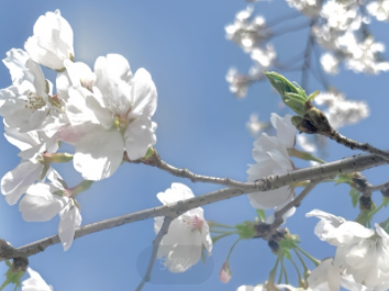 日常生活碎片文案简短又美 每句都很吸睛又很绝的文案 日常生活碎片文案简短又美 每句都很吸睛又很绝的文案