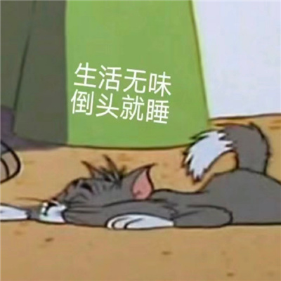 动漫表情史上最可爱系列 休息是为了更好的学习