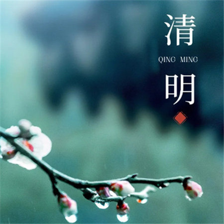 2024清明节唯美配图有意境 听风听雨听心音又是清明时节雨